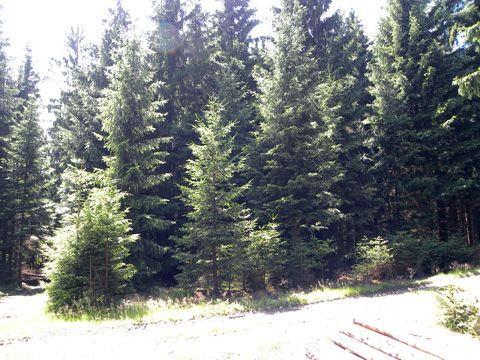 Foto 42